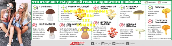 jwh Дмитров
