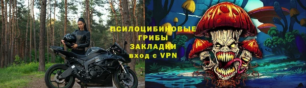 2c-b Дмитриев