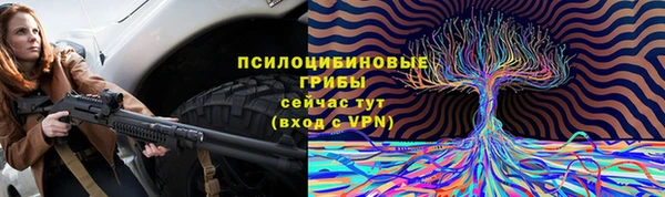 а пвп мука Дмитровск