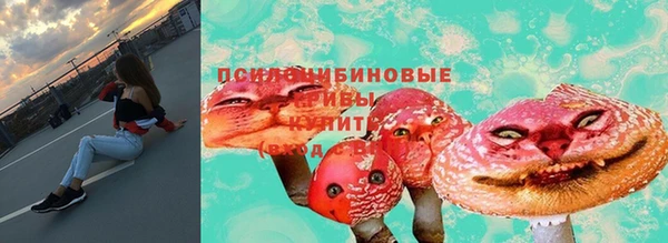 jwh Дмитров